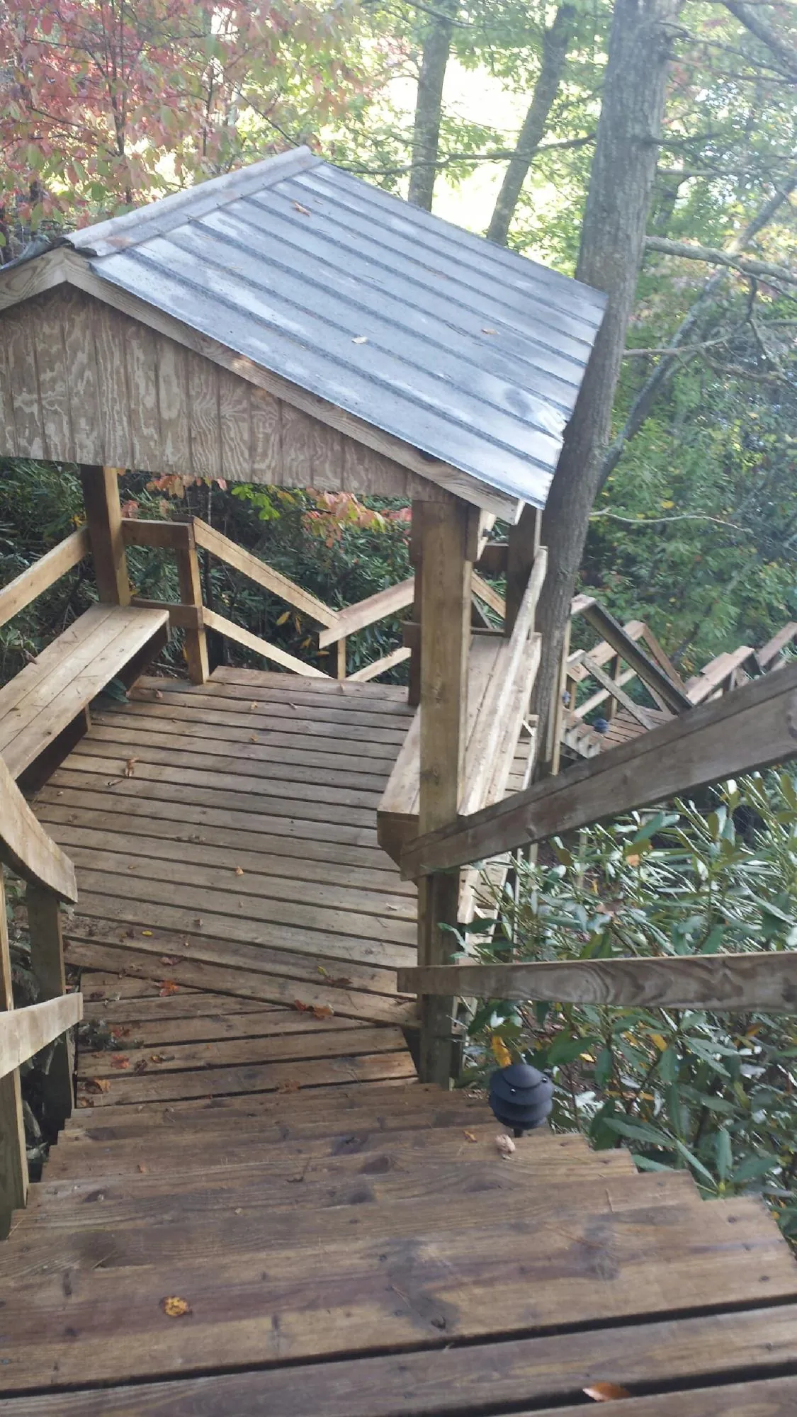 Metal roofed shelter over wooden steps on a wooded walkway — Skylight Repair & Installation work by our crew in Mount Saint Joseph